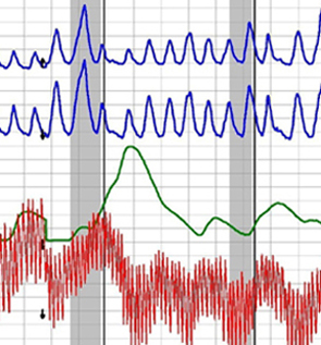 polygraph testing in Maryland